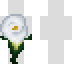 thank you & news- lily flower