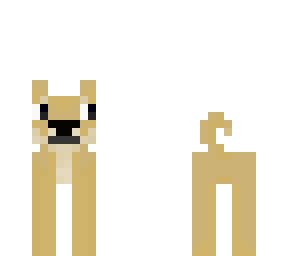 doge