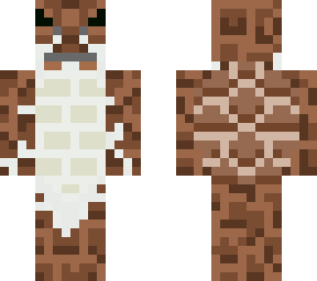 sea turtle