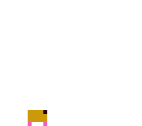 hamster