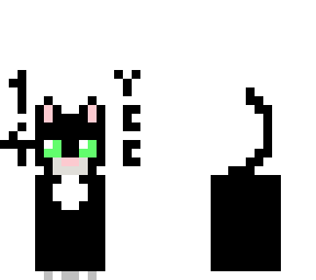 my cat died 2005-2019 (