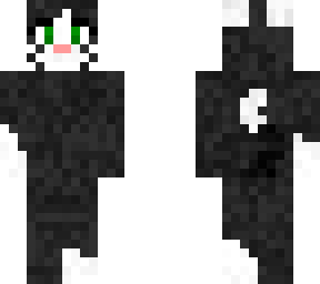 black and white cat