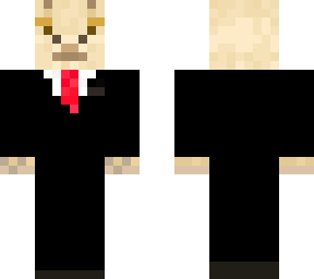 sir llama