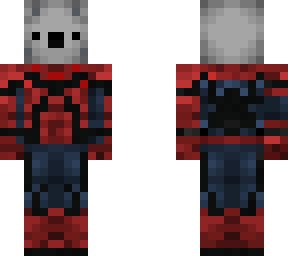 spiderkoala