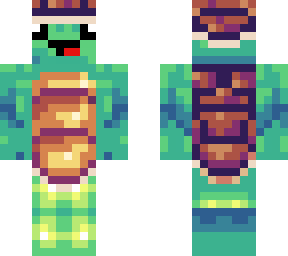 turtle with shell helmet