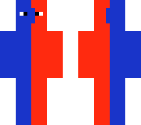 direct 2 skin