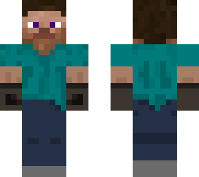 experienced survival steve