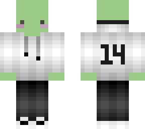 turtle cutie