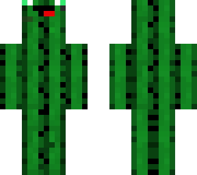 mr cactus