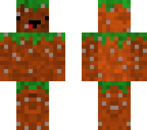 dirt