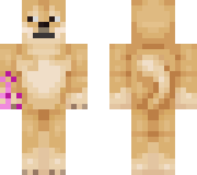 nbut a doge