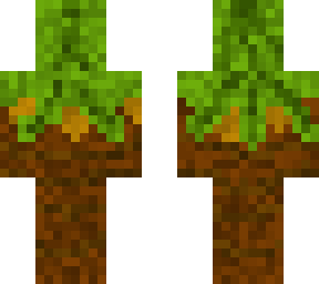 palm tree