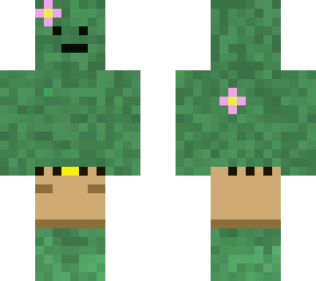 kool cactus boi