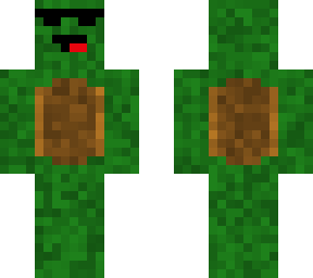 cool turtle boiiiiiiiii