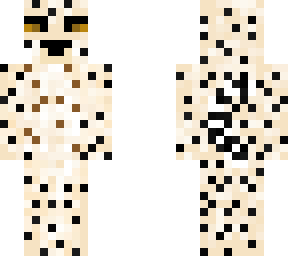 african cheetah