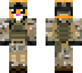 racoon army soldier