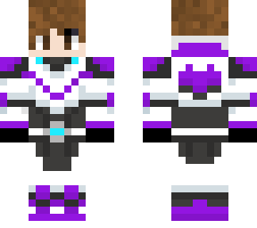 purple paladin