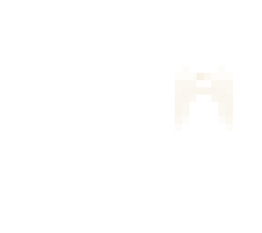 wing template