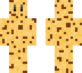 chocolate chip chookie