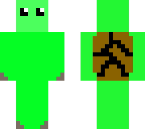 zee schildpad