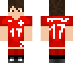 swiss shaqiri