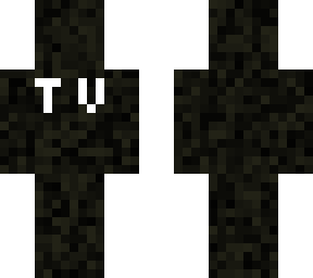t.v. static