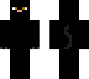 a cat