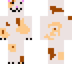 calico cat