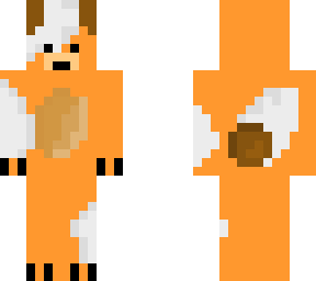 orange and white teddy bear