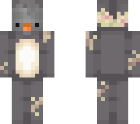 pigeon