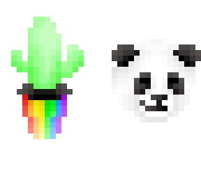 rainbow, cacti and panda