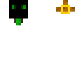 the leader