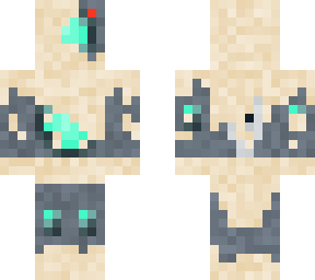 sand spy