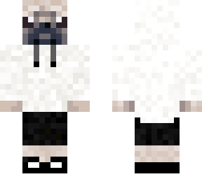 white hoodie pug