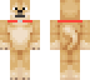 doge is a pet