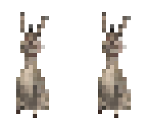 don-keh