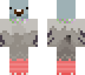 pigeon
