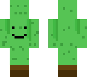 cute cactus