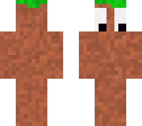 derp grass