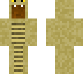 this skin that i changed to not be a hoodie.