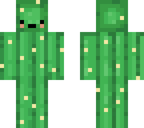 cactus qt