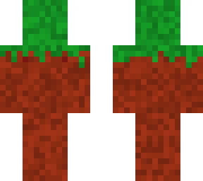 meadow dirt