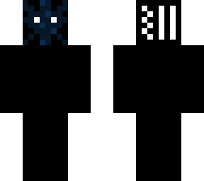 the observer