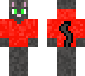 completed hoodie cat