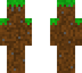 dirt disguise
