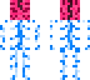 nervous system
