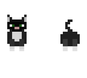 cat pa