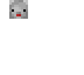 koala boi?