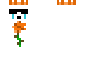 orange - rose