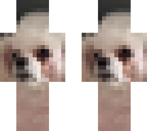 val's dog from florida
